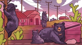 An illustration of black bears shows a mother bear and baby bear near a Dumpster, a bear climbing a power line pole and another standing on hind legs. 