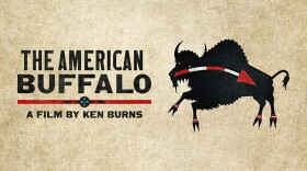 The American Buffalo