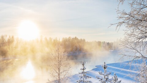 Understanding the winter solstice