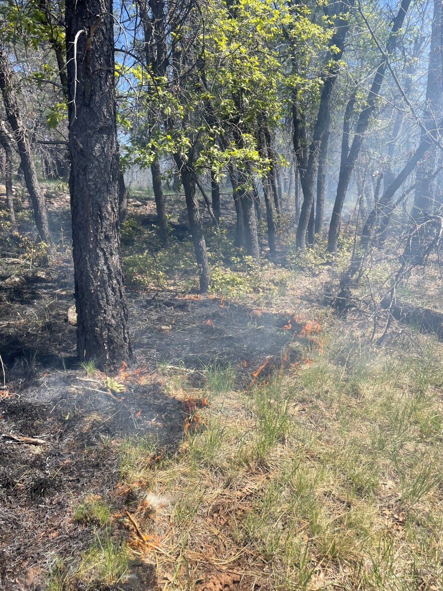 The lightning-caused Volunteer Fire was reported May 23, 2023. It's burning on the Prescott National Forest in the scar of the 2021 Rafael Fire.