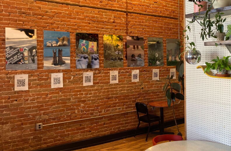 A half a dozen large frameless photographs hang against a brick wall, with QR codes below them. Coffee tables and shelves with hanging plants are seen in the foreground. 