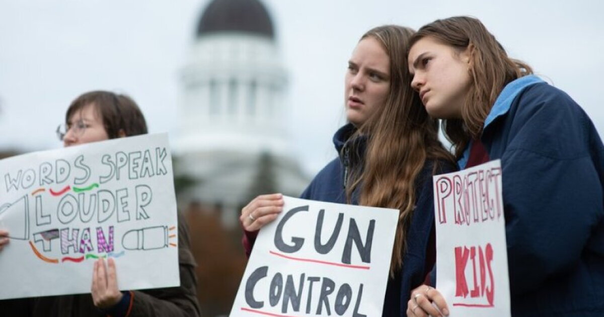 Gun safety advocates launch citizen initiative to put Red Flag Law on ...