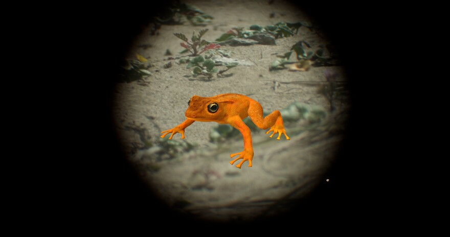 A graphic of a bright orange frog on a simulated habitat, with sandy mud and various aquatic plants. The frog is centered on the image, and only a circle of the environment is visible before a harsh vignette makes the rest of the image black.