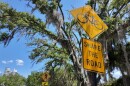 A yellow road sign with a bicycle icon reads "Share the Road," advising drivers to watch for bikers 