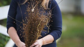 Beth Sheeler, founder and creative director of Broadlawn Farm in Gates Mills, holds some dried flax.