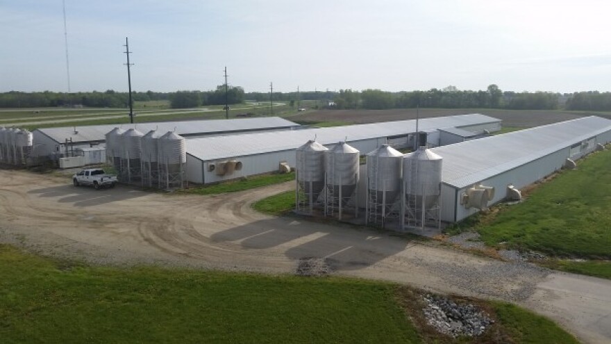 CAFO1-624x351.jpg