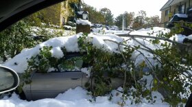 The morning after Snowtober.