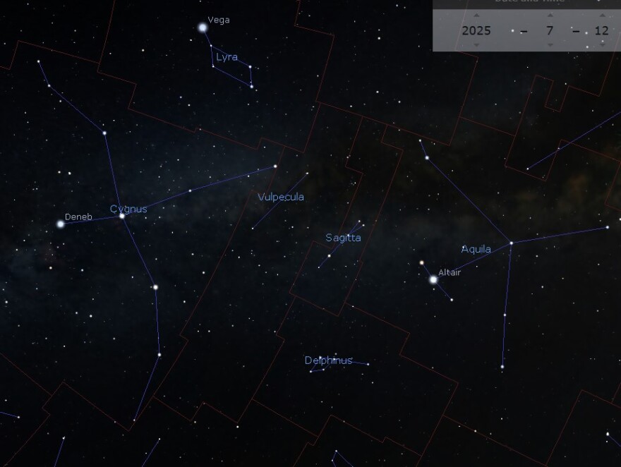 Delphinus