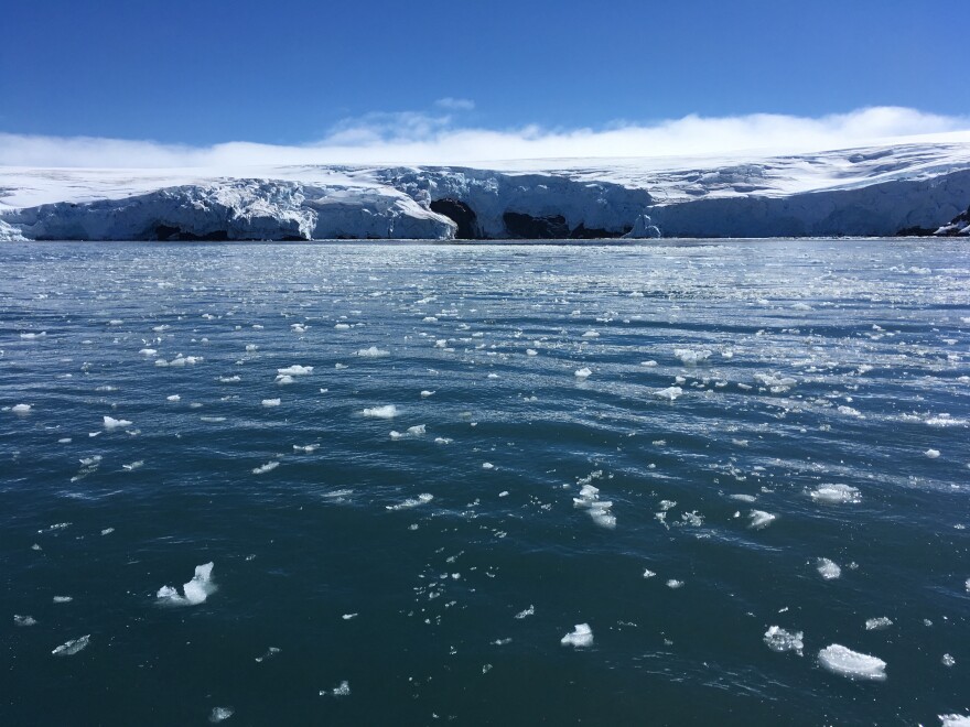 Blocks of ice drift on the water off the coast of Collins glacier on King George Island, Antarctica on Feb. 1, 2018. Climate scientists say the world needs to quickly start addressing the devastating impacts caused by climate change.