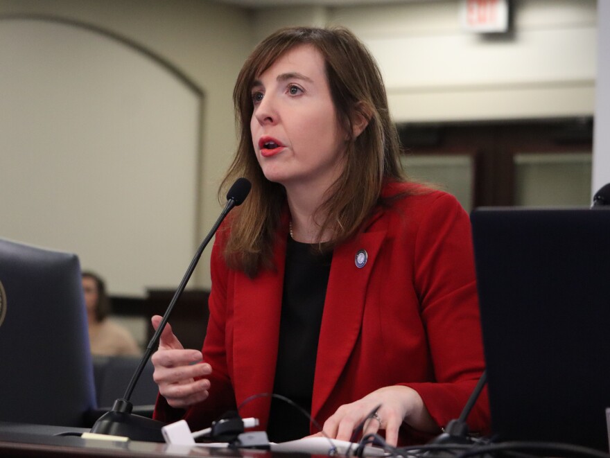 Auditor Allison Ball, a Republican, released the report Monday investigating the cases of children housed in office buildings, state parks, hotels and other nontraditional settings.