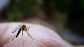 The second human case of West Nile virus in Indiana this year was confirmed after a Hamilton County resident tested positive. The first case was reported in Vanderburgh County.