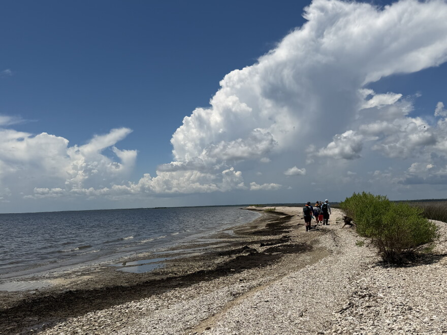 Students walk along a beach headed toward the saltwater marsh where the terrapins will be released.