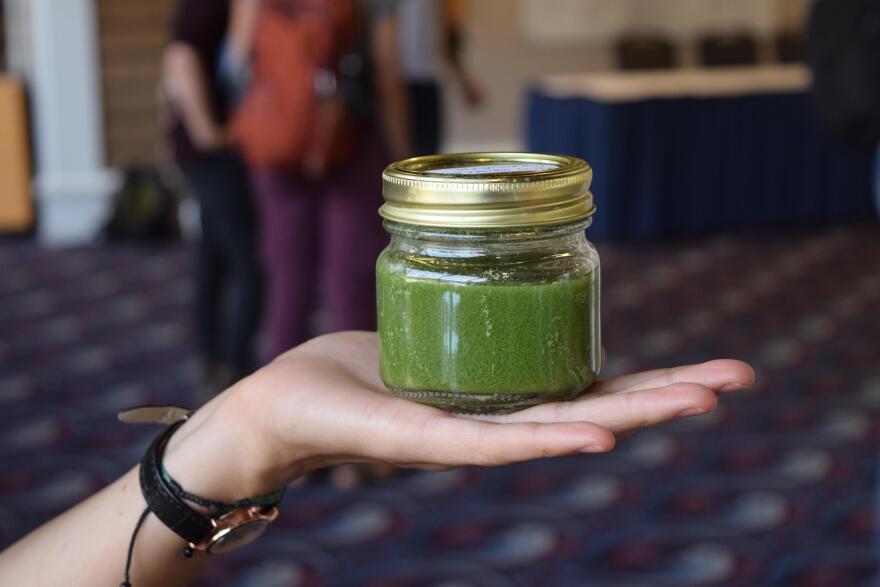 A jar of water taken from Lake Erie's Maumee Bay 9/12/2017 [Elizabeth Miller/ideastream]