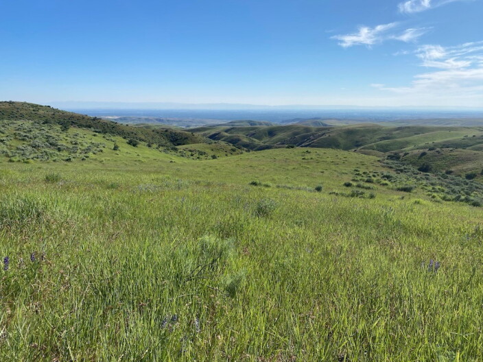 The South Fork Willow Creek area covers 320 acres east of Avimor and north of Hidden Springs.