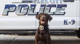 Bruno, Park City Police Department's first K-9, will be sworn in on Dec. 11, 2025.