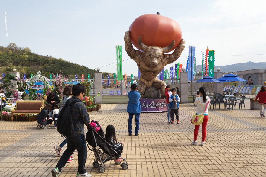 Outside the stadium where the Cheongdo Bullfighting Festival takes place every spring in the southern part of South Korea.