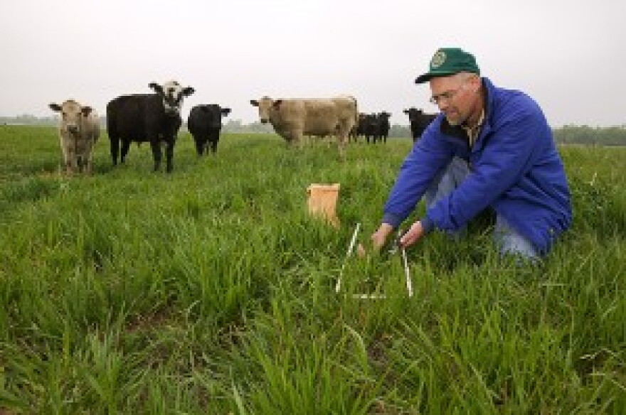 In an experimental pasture at the Grazinglands Research Laboratory near El Reno, Okla., ecologist Brian Northup collects samples to describe availability and quality of forage.