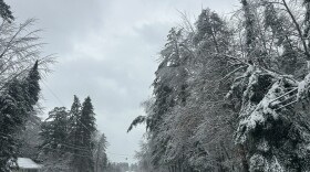 A snowy road in Roscommon County on March 18, 2026 following a major snow and ice storm that pummeled the region that lead to widespread power outages and downed trees.