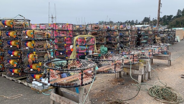 Work areas at the Port of Newport are filled with crab pots being prepared for the 2025-26 season.