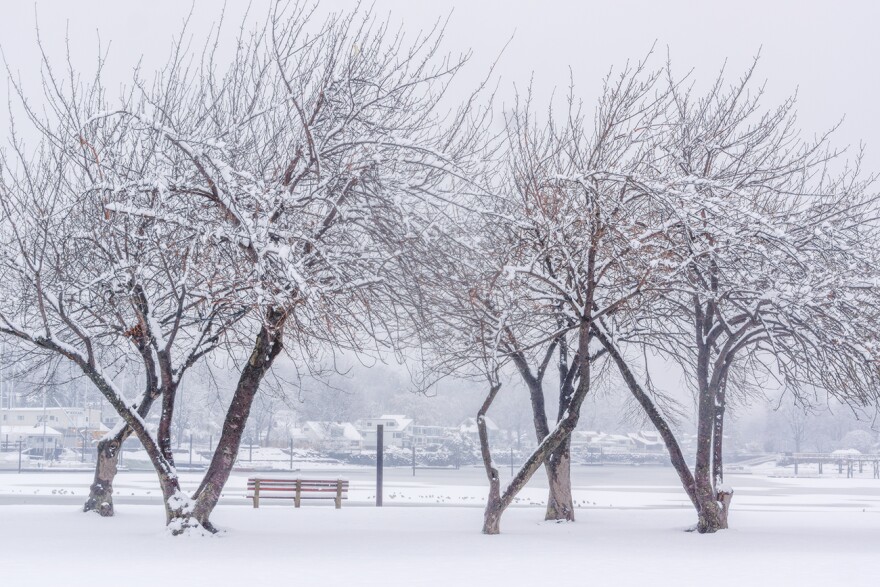 snow storm