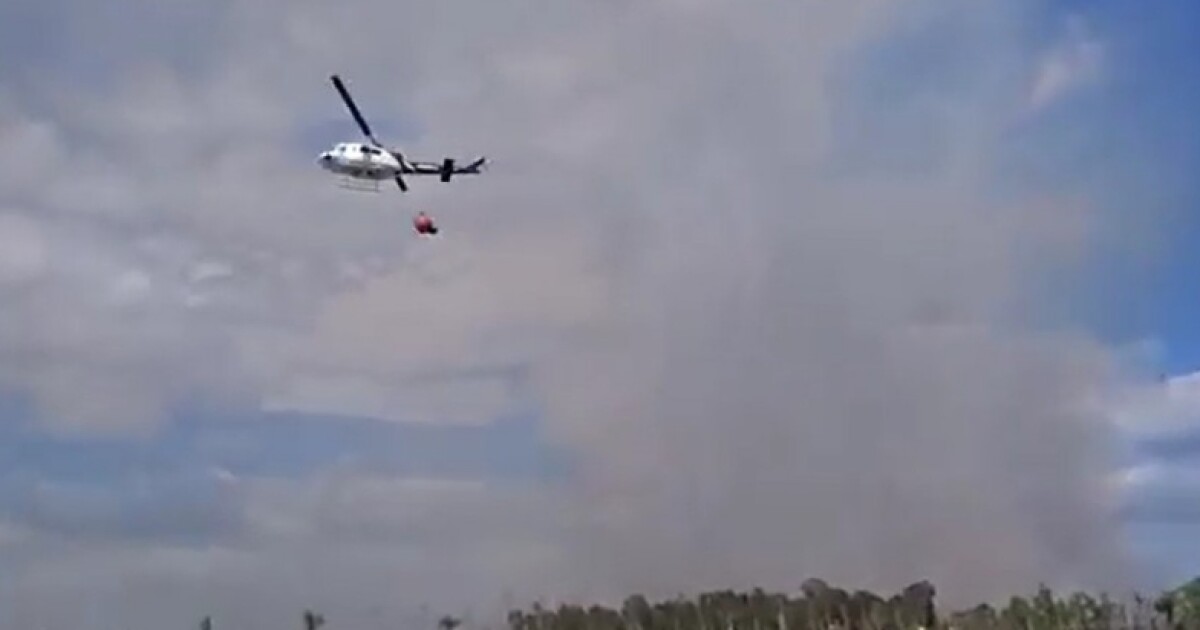 Despite four notable blazes in, near Big Cypress National Preserve wildfire season has yet to peak