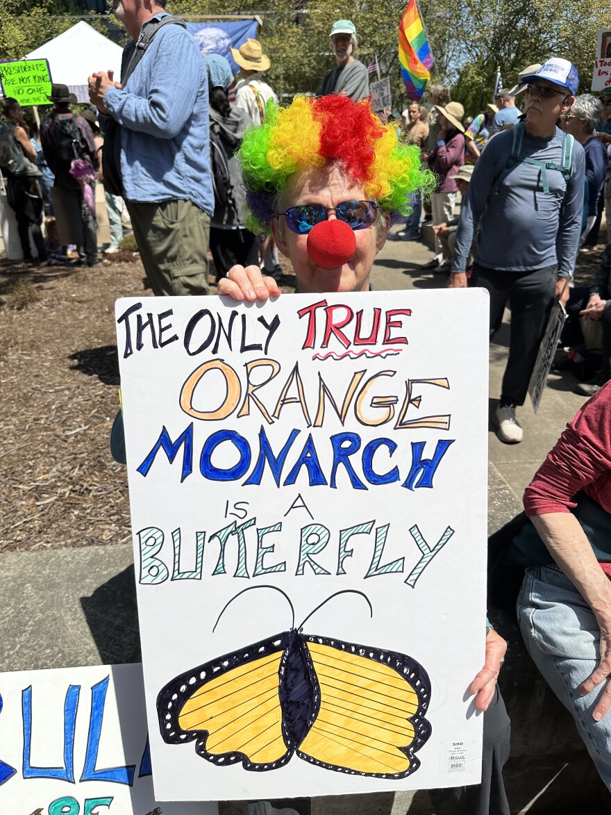 Clown protester.