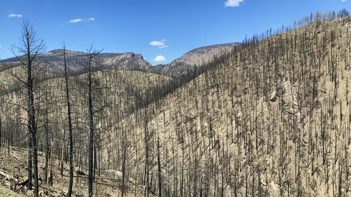 THURS: NM approves nearly $47 million in loans for recovery following  historic wildfire, + More