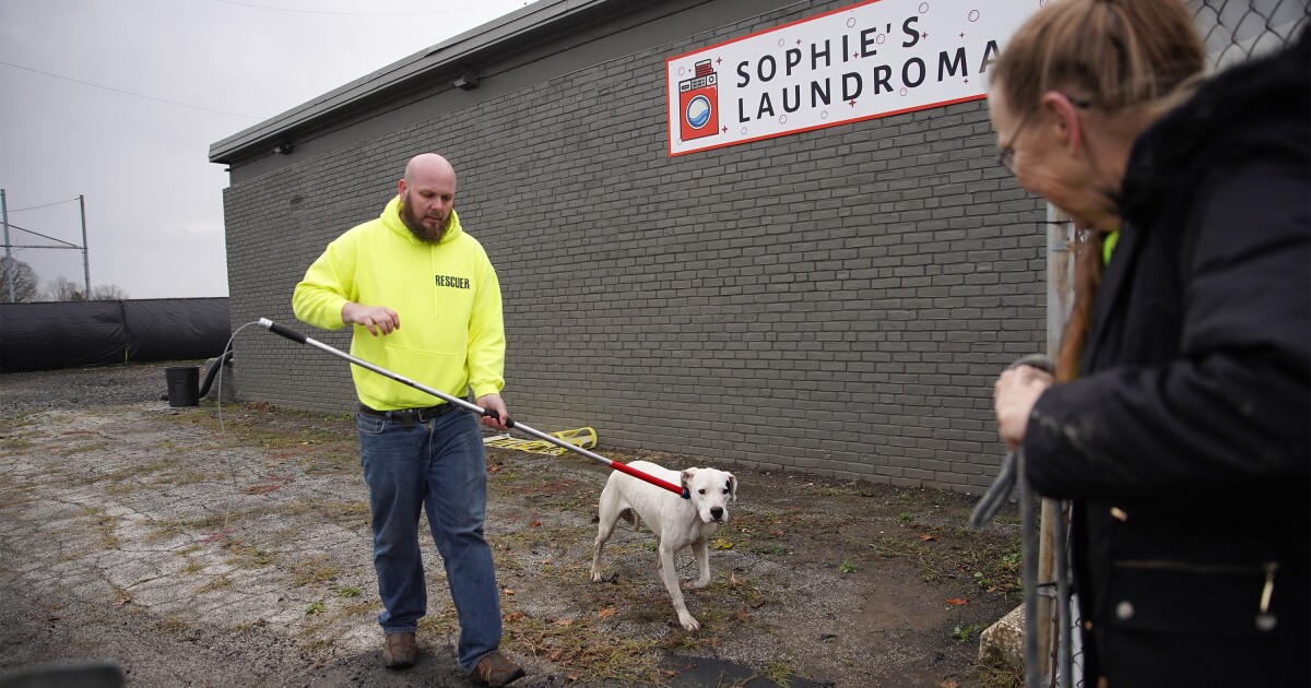 Brewing Locally Image