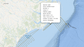 An image Oceana shared of the whales' location