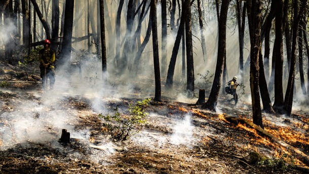 A firefighter pulls a hose along the fireline on the Bacon Flat prescribed fire in late September.