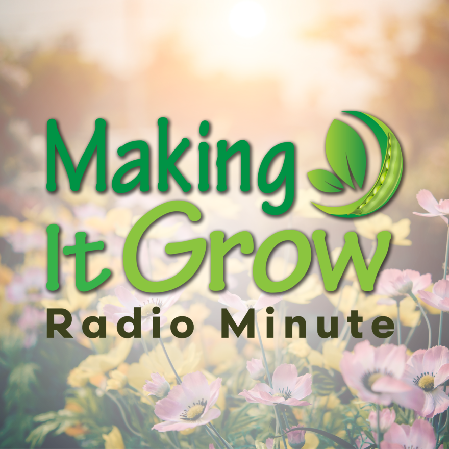 Making It Grow Radio Minute