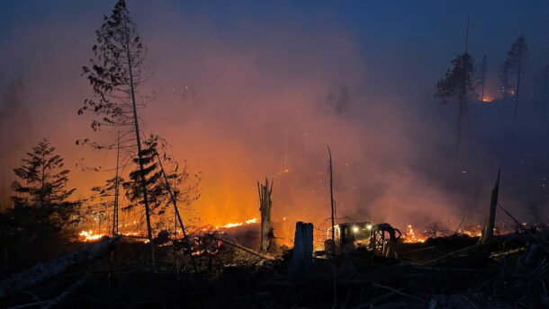The Idaho Department of Lands managed the Tyson Fire, which firefighters responded to in Benewah County in July 2023.