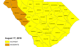 The South Carolina Drought Response Committee upgraded on August 17 drought conditions in 17 counties. All  46 counties are now in drought according to the State Drought Response Committee.
