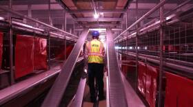 An Indiana Farm Bureau official tours an unfinished large-scale cage-free egg facility at Rose Acre Farms in Pulaski County. Each block of the house will contain 1,100 chickens, which can move freely across their aisle, up and down ramps and through different nesting areas.