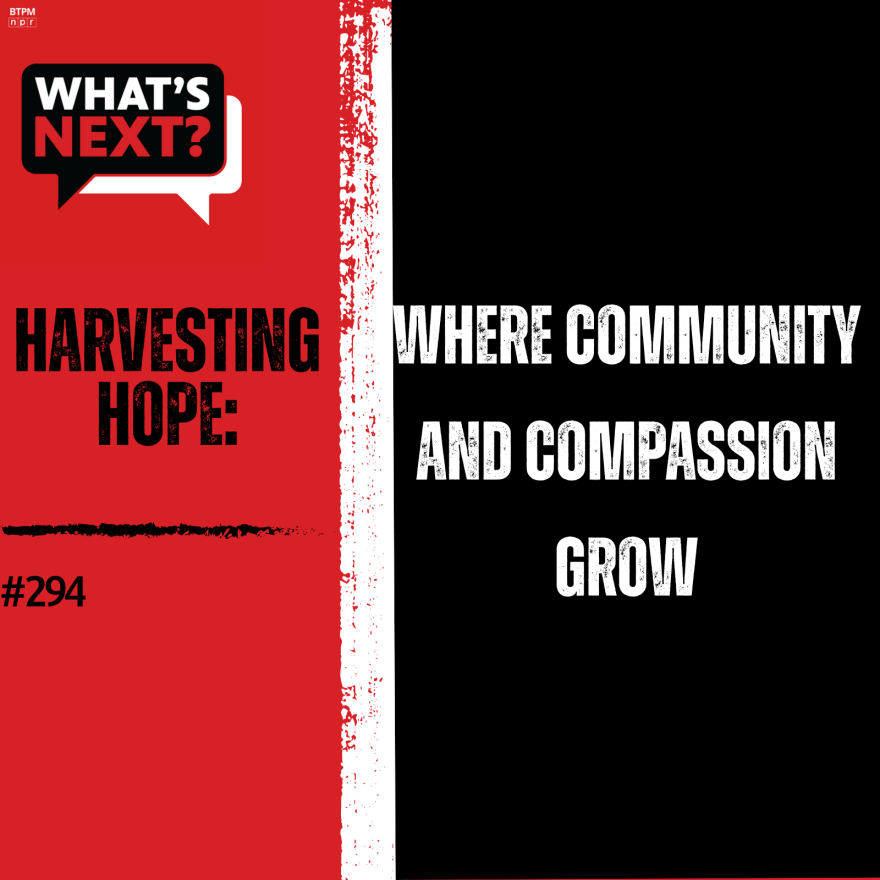 Background from left to right: red, then a vertical, thick white stripe in the middle, then black. from left to right: WN logo in the top corner, "HARVESTING HOPE: #294" in black text over the red and "WHERE COMMUNITY AND PASSION GROW" in white text over the black