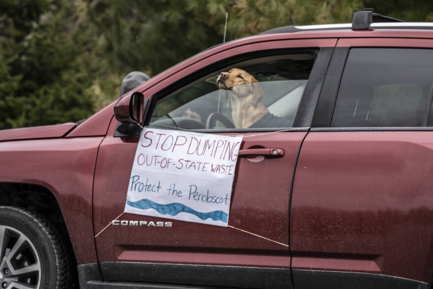 A canine protester outside Juniper Ridge Landfill in Old Town on April 22, 2021.