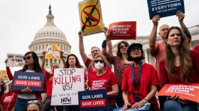 Gun control advocacy groups rally with Democratic members of Congress during of a news conference on the grounds of the U.S. Capitol on Thursday, May 26, 2022 in Washington, DC.  (Kent Nishimura / Los Angeles Times via Getty Images)