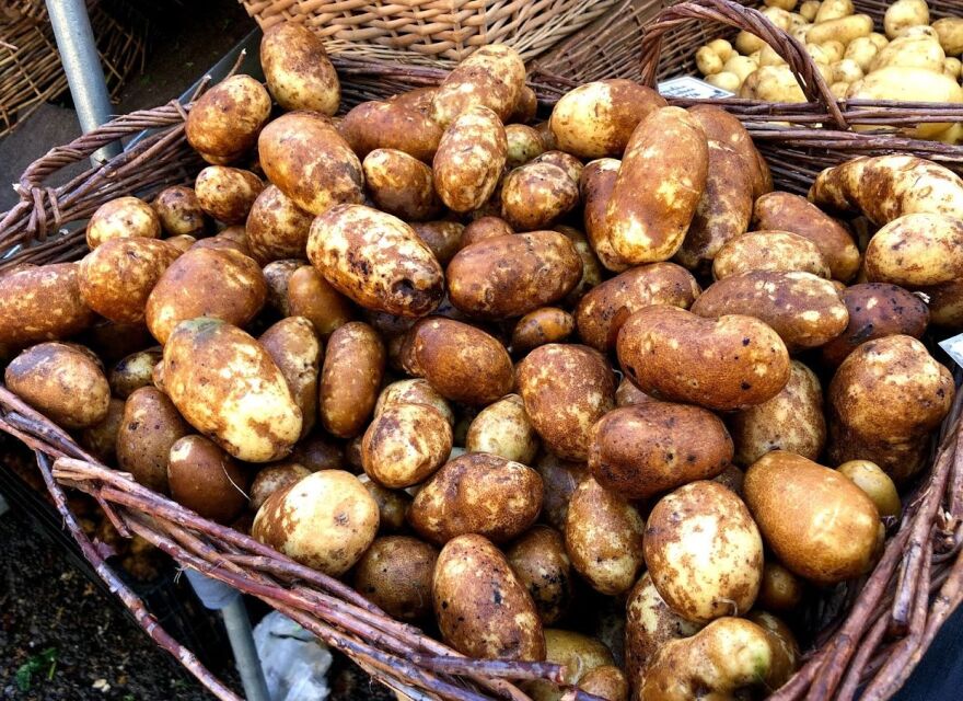 Potatoes in large wicker basket.