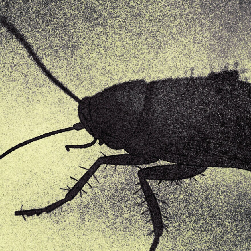 An illustration with muted green tones shows a closeup of a cockroach.