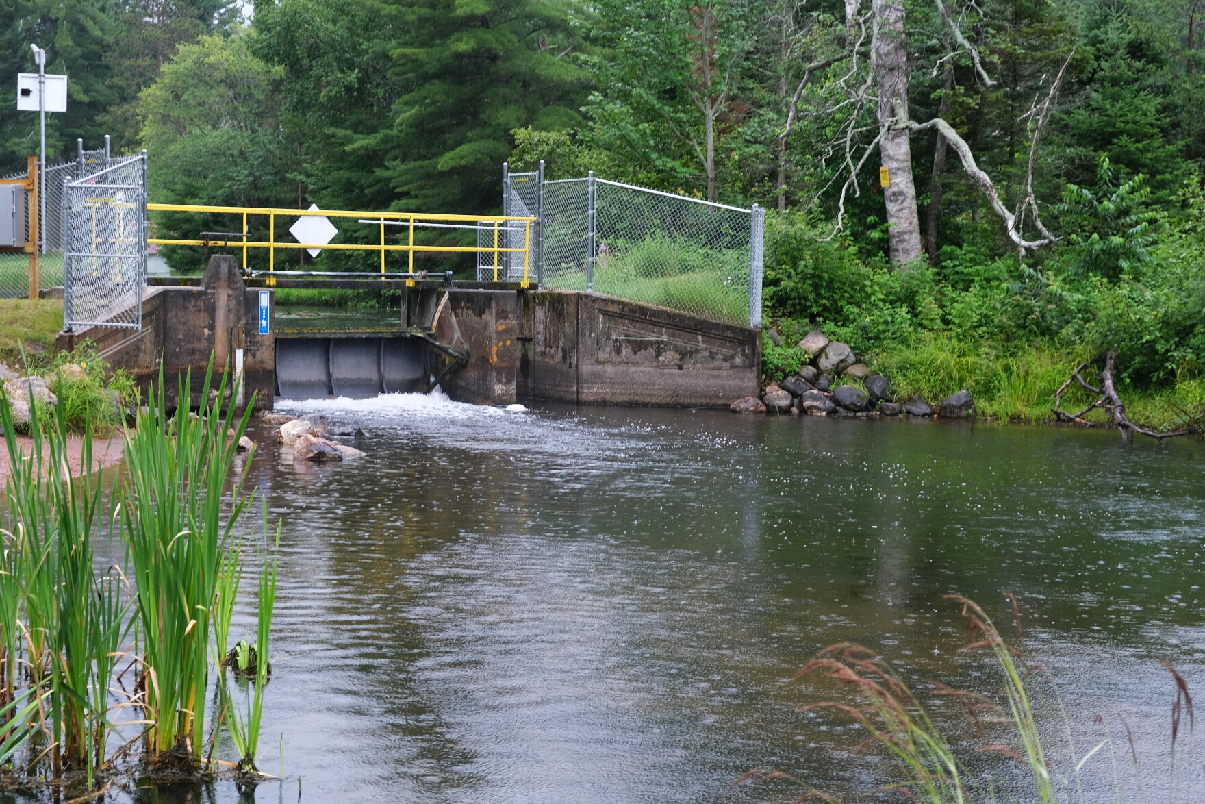 Lac Vieux Desert Tribe works to restore wild rice and walleye on Lake ...