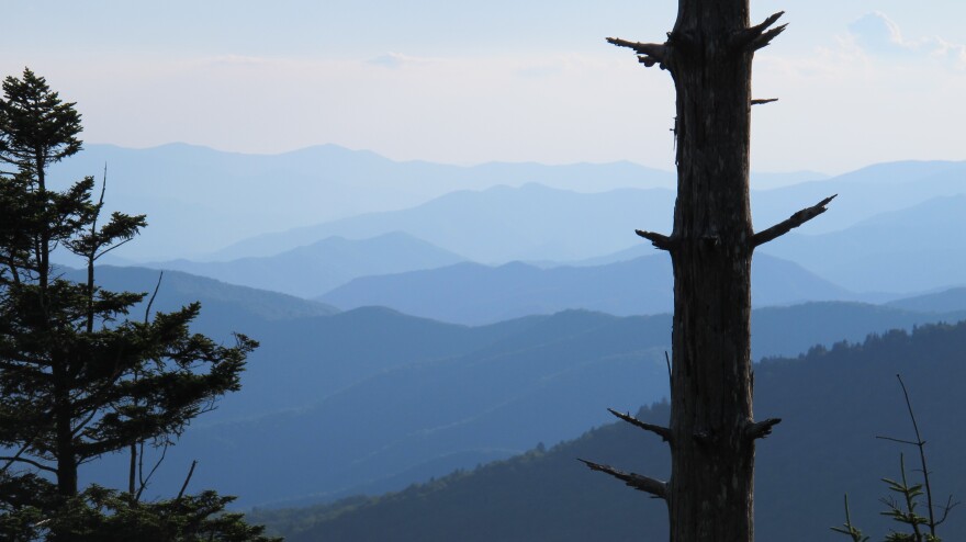 A majestic view of the Great Smoky Mountains.