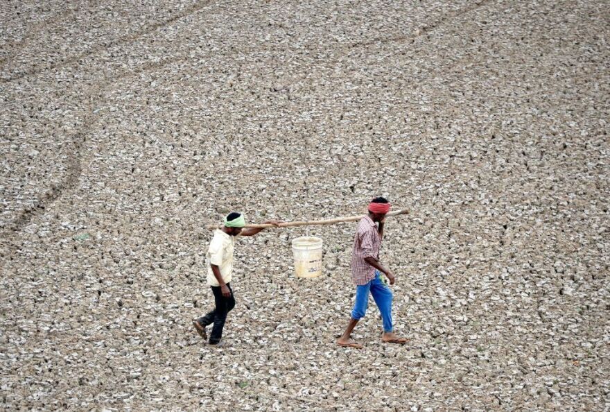 Indian workers carry the last bit of water from a small pond in the dried-out Puzhal reservoir on the outskirts of Chennai.