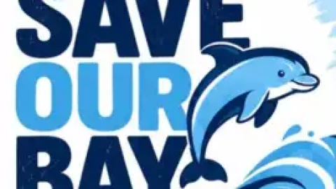 Parents at Dolphin Bay Elementary School are organizing a public rally Tuesday, Sept. 29, 2026, to push back against Broward County Public Schools' proposed restructuring plan and offer an alternative for their children's education.