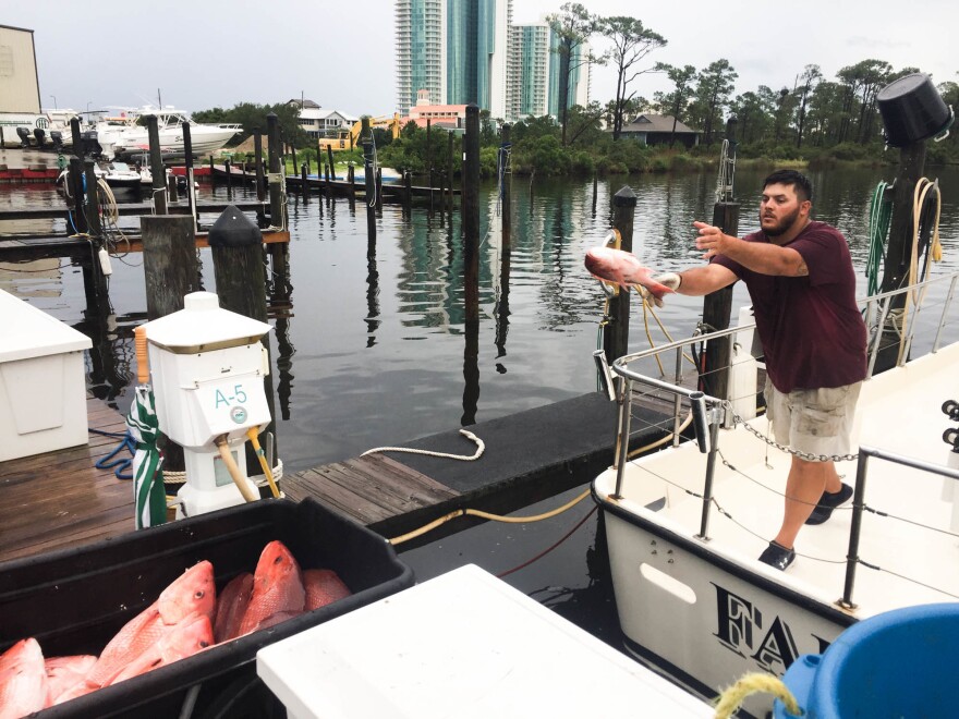 Deckhand Patrick Gallager  tosses the day's catch to the dock from the Fairwater Two charter boat.