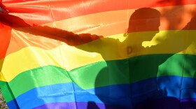 An activist's silhouette is seen through a rainbow flag during a gay pride parade in Kiev on May 25, 2013.