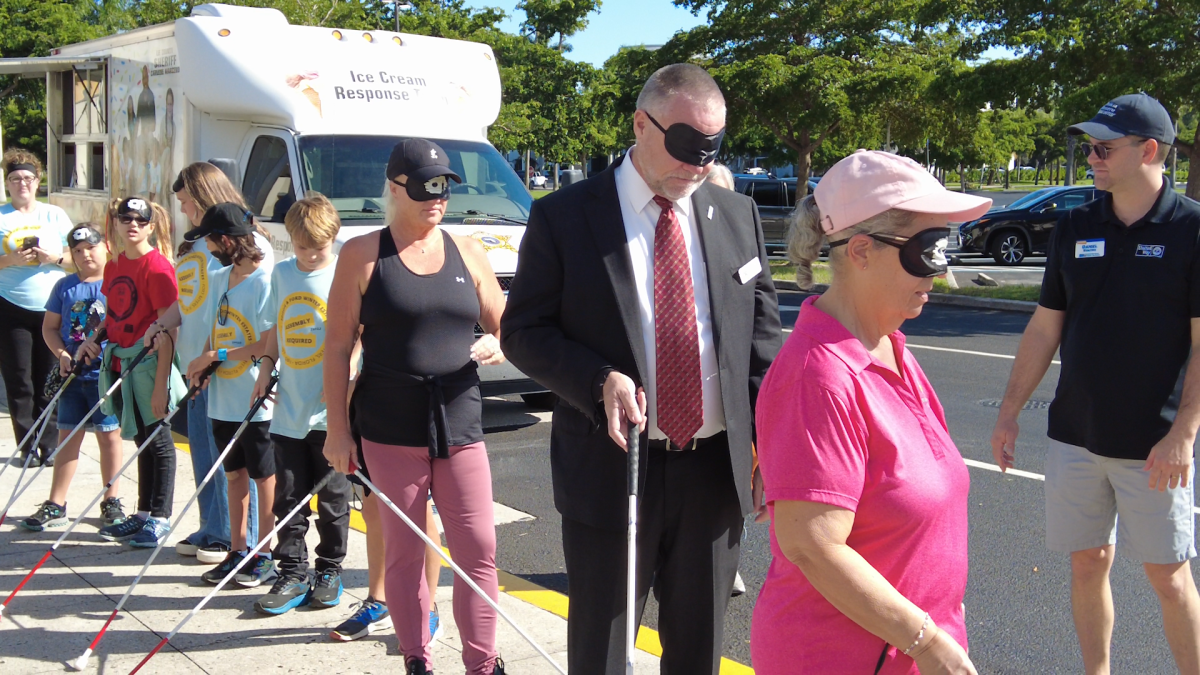 Experiencing impairment of vision is the point of White Cane Day - Vimarsana News