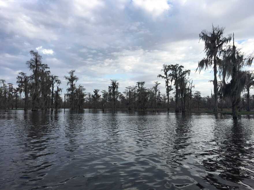 The Atchafalaya River.