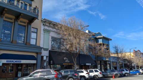 A row of two and three story buildings with some ornamentation painted in various colors. A row of trees in front block the view of some of the buildings. In front of the trees are cars parked along the street.