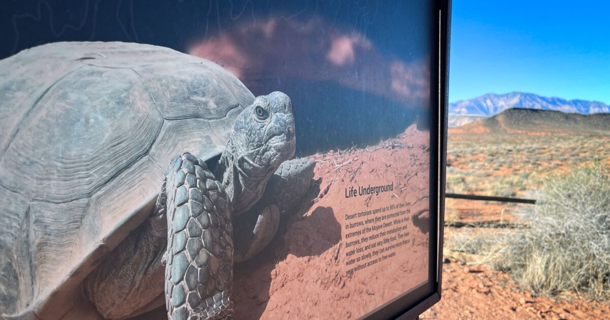 These words started St. George’s decades-long Northern Corridor Highway fight