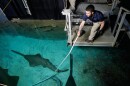 Aquarist Lukas Seoane feeds a shark in the Shark Reef Aquarium at the Mandalay Bay hotel-casino in Las Vegas, Wednesday, March 11, 2026. (AP Photo/John Locher)